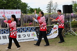 騎西藤まつり