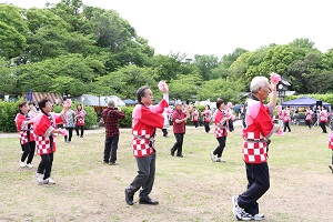 騎西藤まつり